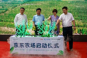 半岛网页版登入界面